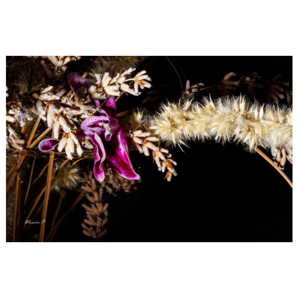 PHOTO84, CLUB, 84 , LUBERON